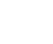 Evolution games at Spin Bounty Casino